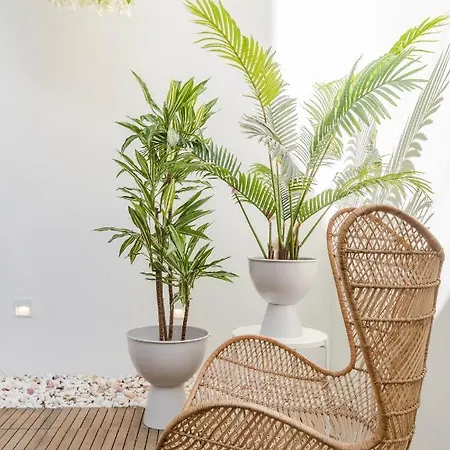 Casa Boma - Architect With Private Terrace - Alcantara Iii 아파트 리스본